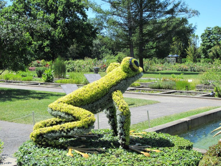   bntpal_1464269559_66