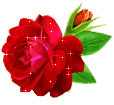 bntpal_1464269809_10