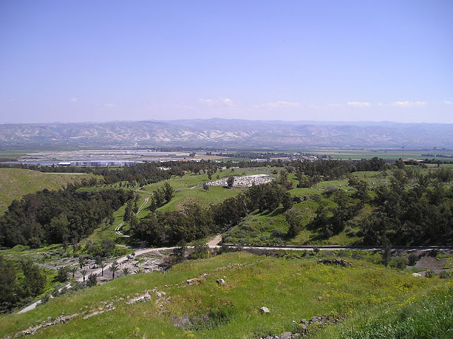  bntpal_1464330577_55