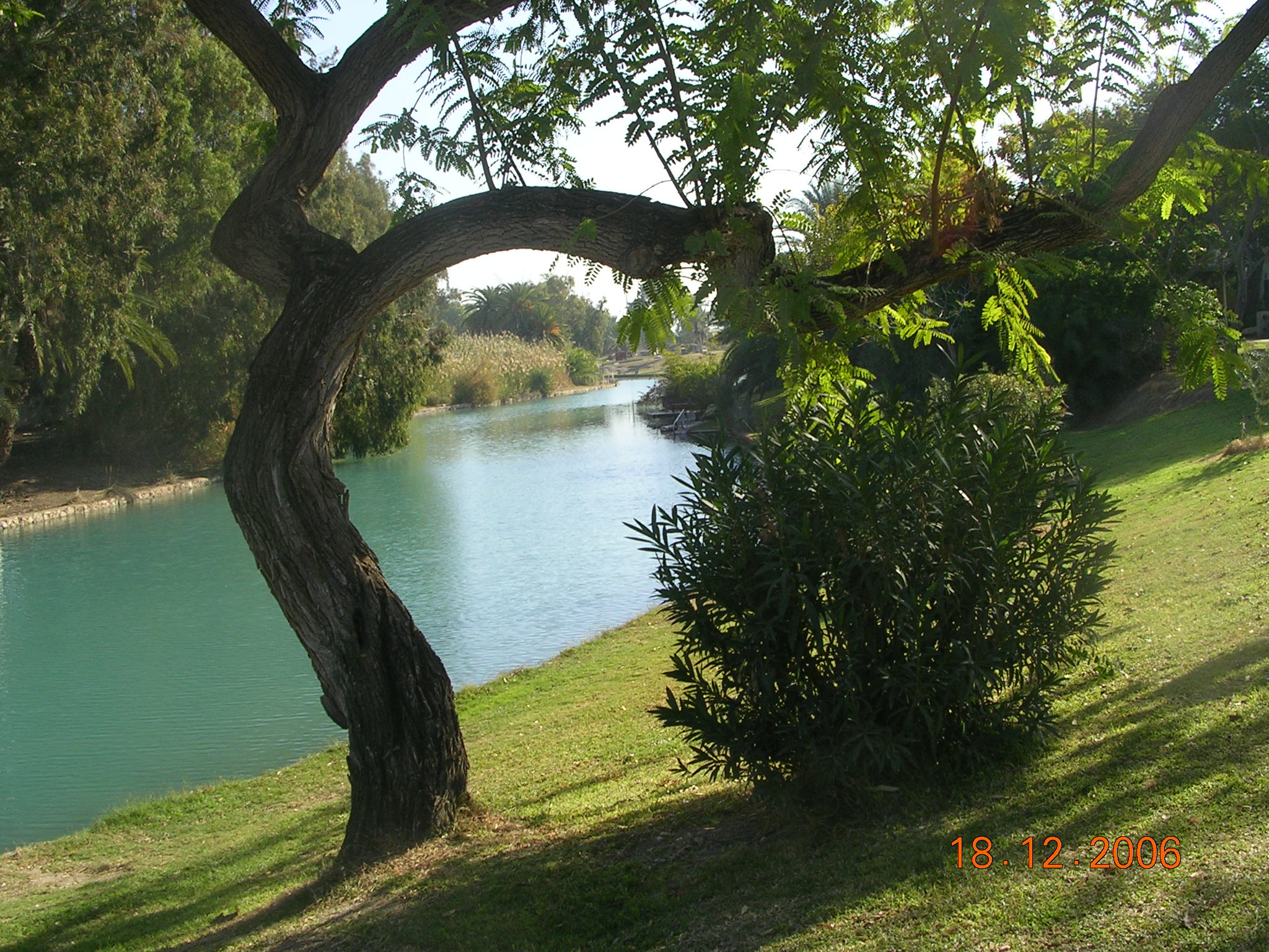  bntpal_1464330581_62