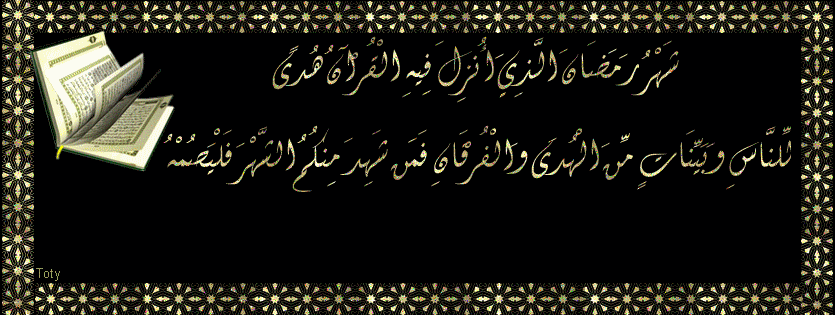  bntpal_1464507702_35