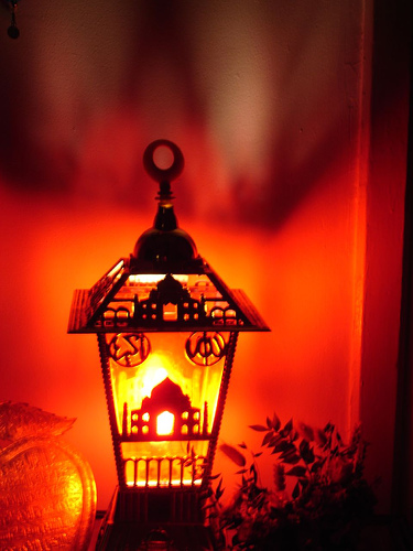  bntpal_1464679407_31