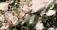 bntpal_1464680417_86