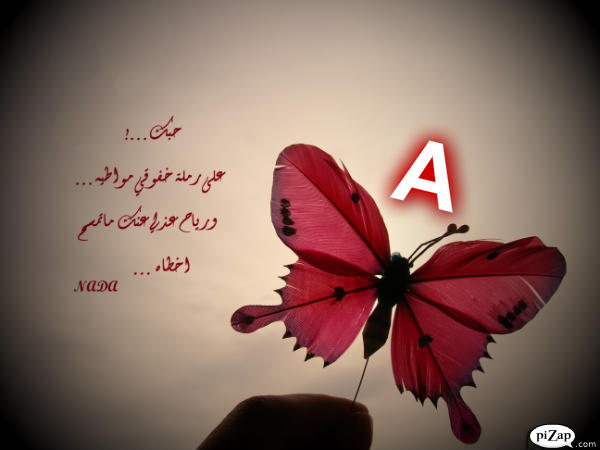 bntpal_1464682804_53