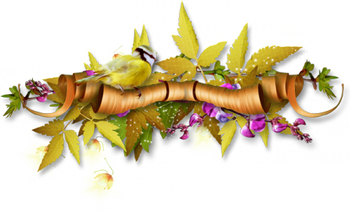   bntpal_1464725696_35