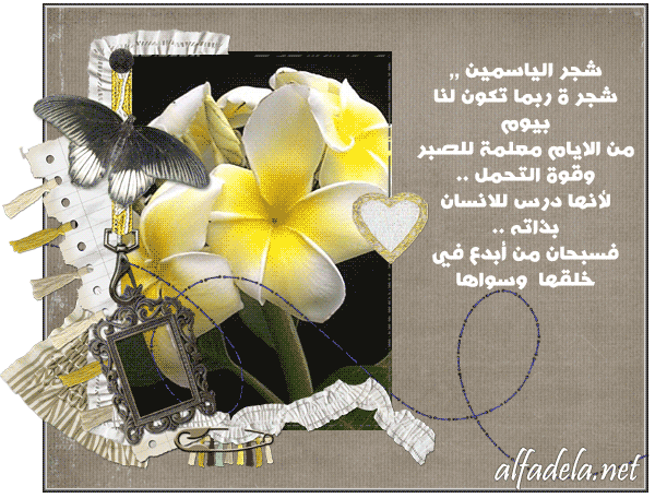 bntpal_1464799580_96