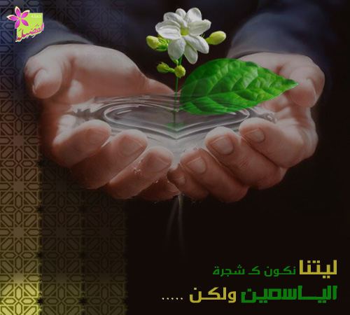 bntpal_1464799581_89