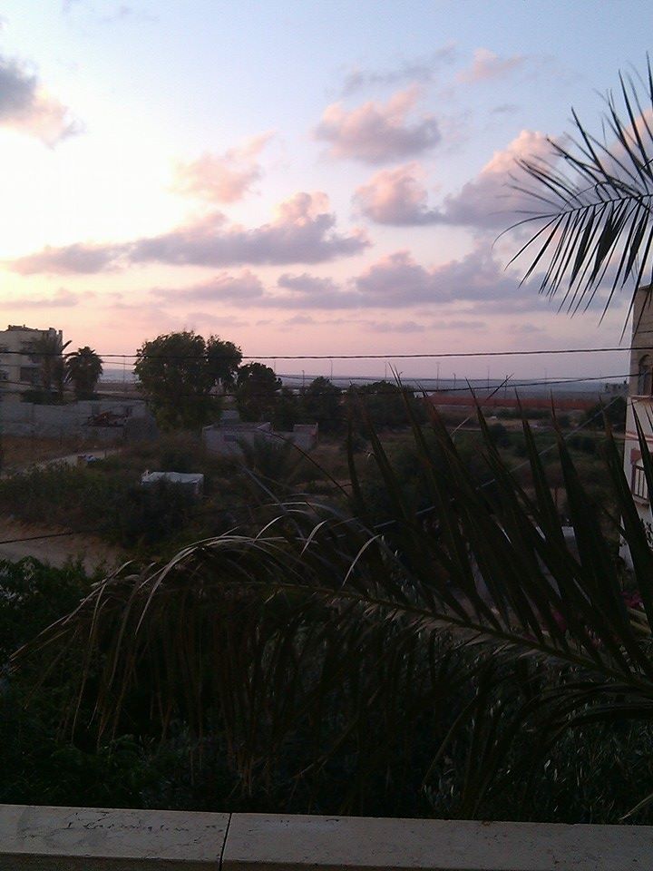 bntpal_1465026391_66