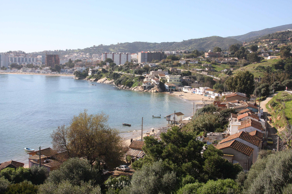  bntpal_1465030411_99