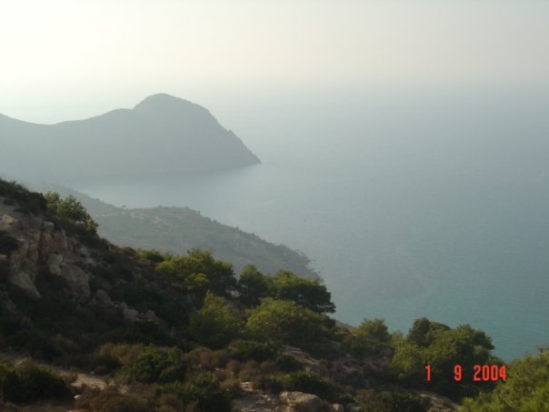  bntpal_1465030413_34