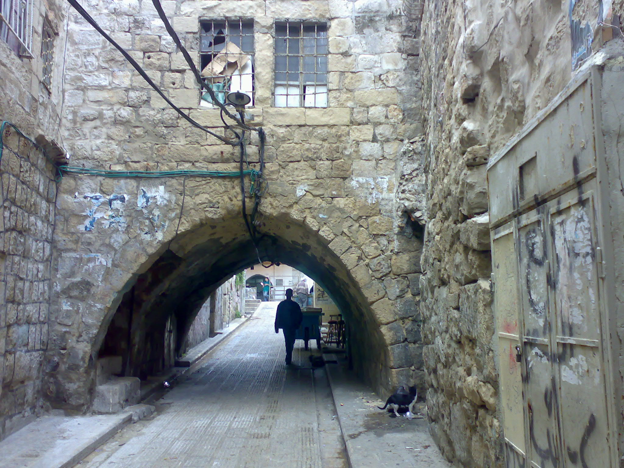 ...   bntpal_1465115433_15
