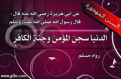 bntpal_1465200256_56