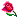 bntpal_1465221819_16