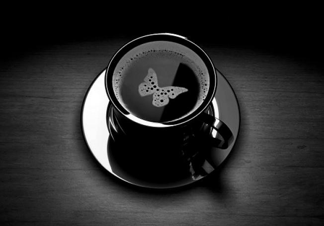  bntpal_1465306383_71