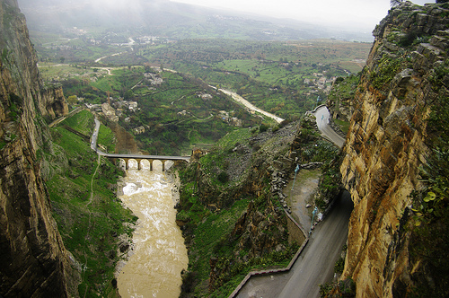 bntpal_1465425464_86