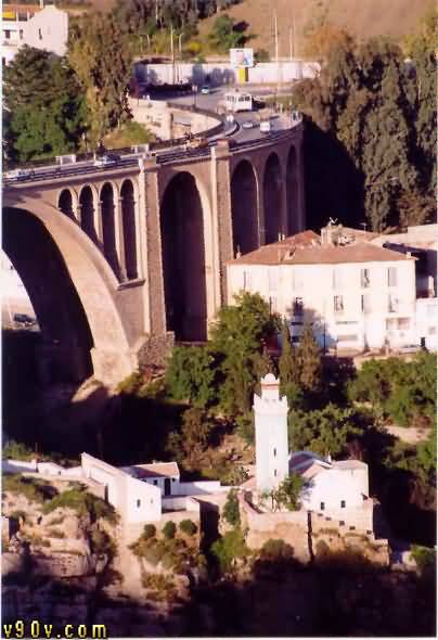 bntpal_1465425465_45