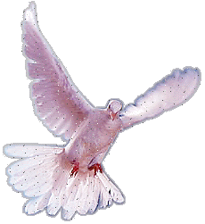 bntpal_1472894077_27