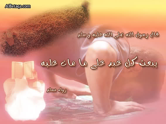 bntpal_1473524757_11