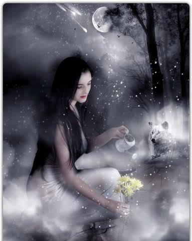 bntpal_1473690010_53