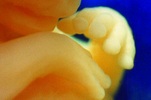 bntpal_1474240721_81