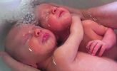 bntpal_1474415202_97
