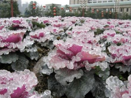 bntpal_1474420133_92