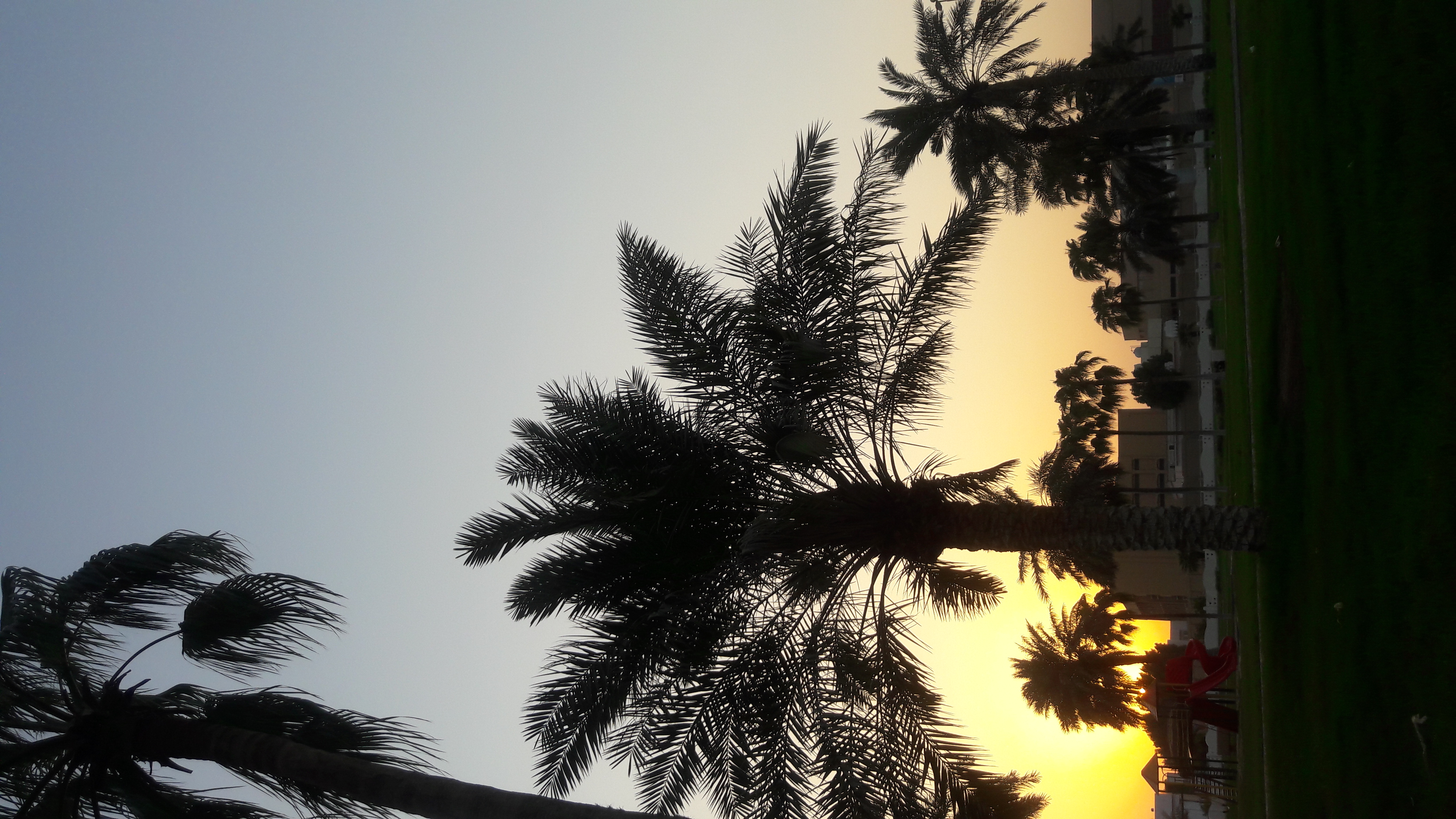 bntpal_1474560151_15