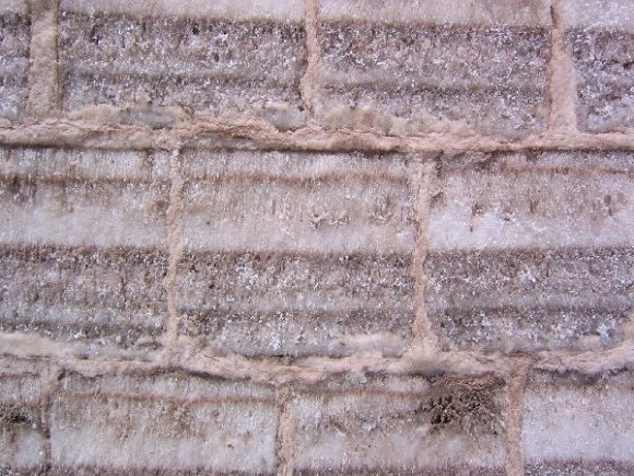  bntpal_1474704651_99