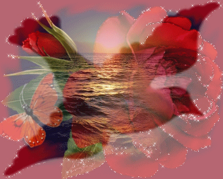 bntpal_1474735102_57