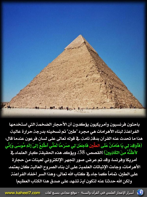 ) bntpal_1475003305_51