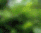 bntpal_1475015095_88