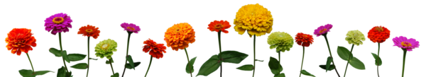 bntpal_1475079630_97