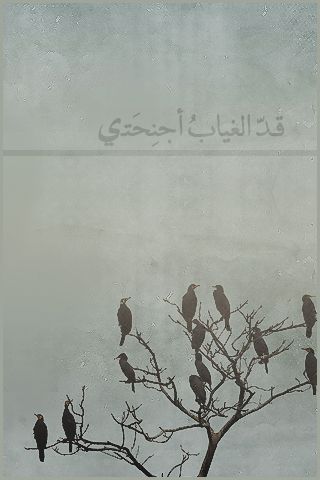 bntpal_1475081805_26
