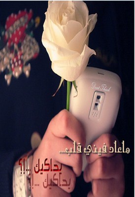 bntpal_1475081805_71