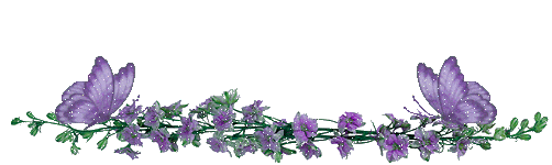     bntpal_1475440010_33