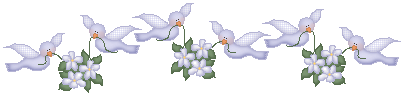 bntpal_1475725669_76