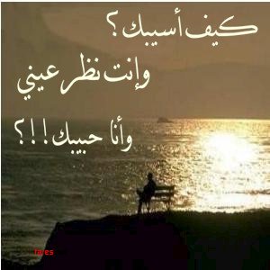 bntpal_1475833449_57