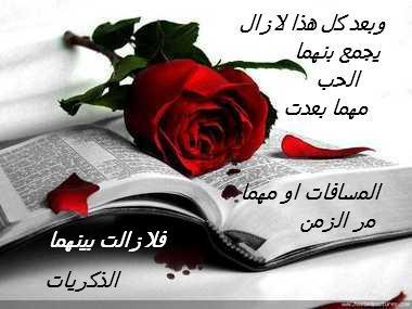 bntpal_1475833450_90