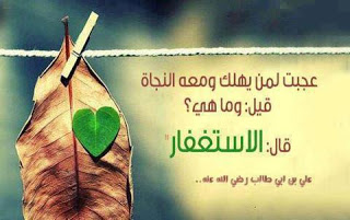  bntpal_1475929205_16
