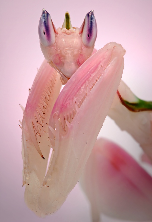  bntpal_1476026594_23
