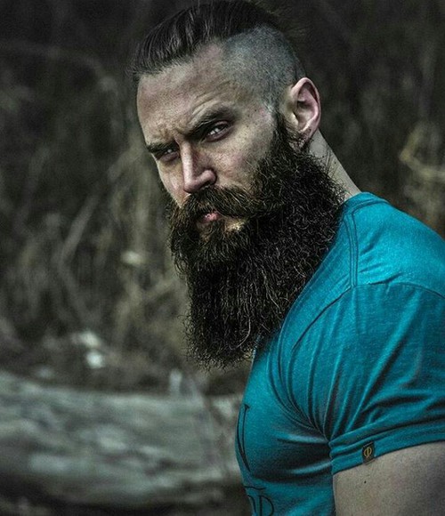 Beard styles 2016-2017 bntpal_1476103796_91