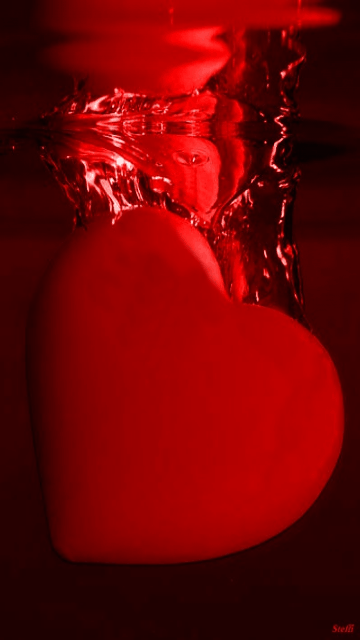 bntpal_1476125578_99