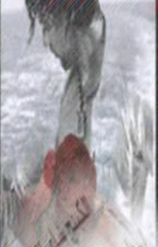 bntpal_1476200324_61