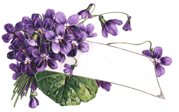 ~> bntpal_1476784326_79