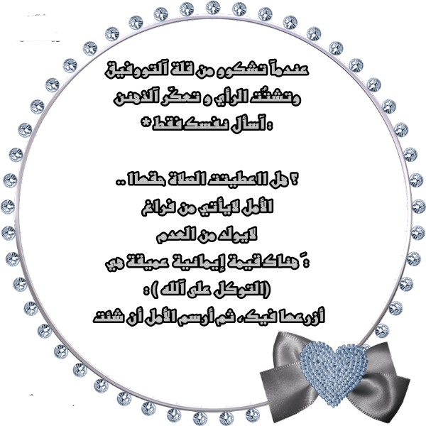 bntpal_1477000499_16