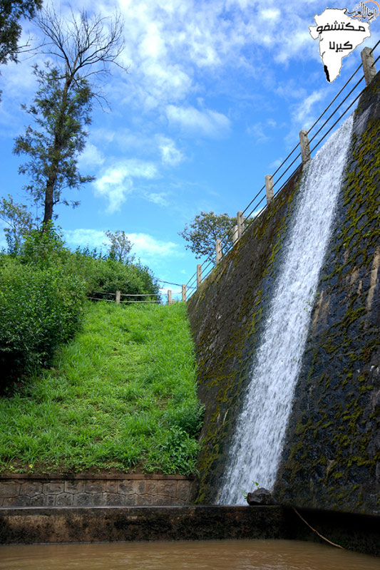 bntpal_1477002400_35