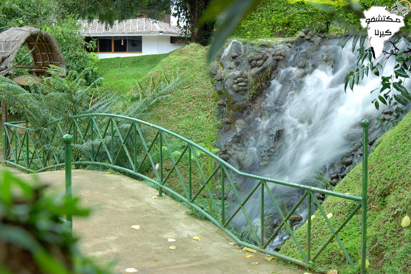 bntpal_1477002401_55