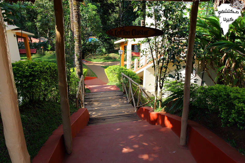 bntpal_1477002404_93