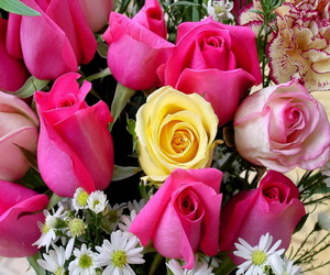  bntpal_1477322349_68