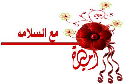 bntpal_1477498787_73